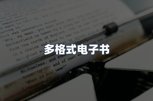 多格式电子书